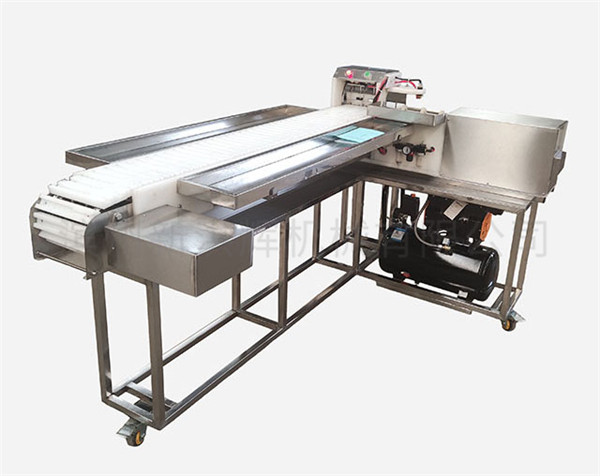 “新洪(hong)輝”切片機曆經(jing)多次改進